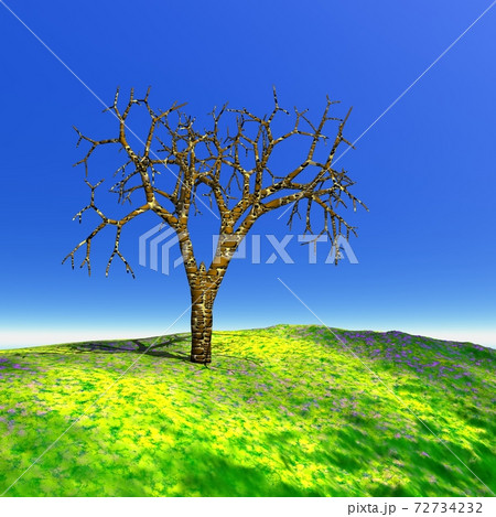 Dead tree in summer 72734232