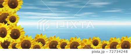 Blue ocean and sunflowers 72734248