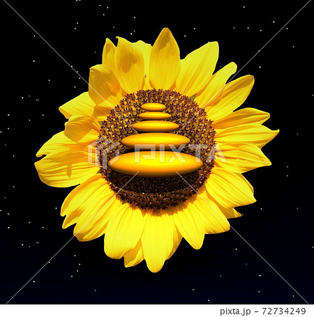 Zen sunflower by night 72734249