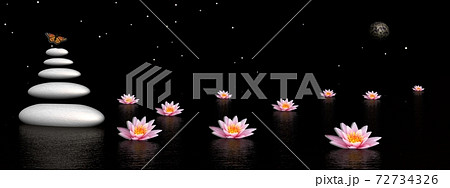 Zen night Zen night 72734326