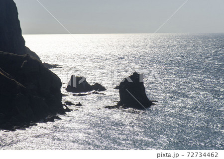 礼文島　桃台猫台の猫岩 72734462