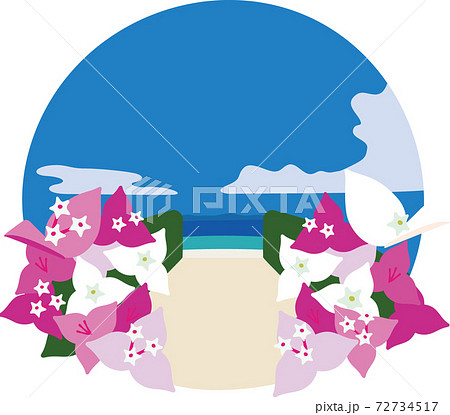沖縄の海 72734517