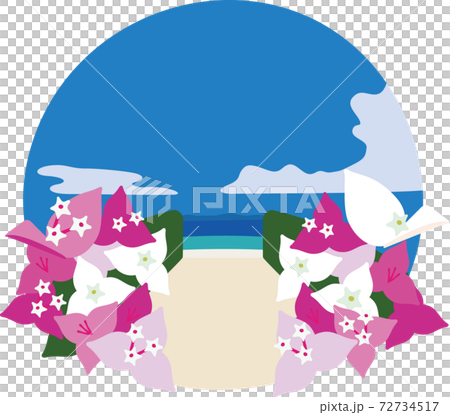 沖縄の海 72734517