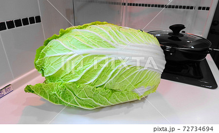 立派な白菜(冬の鍋の主役！)　葉脈くっきり　3755 72734694