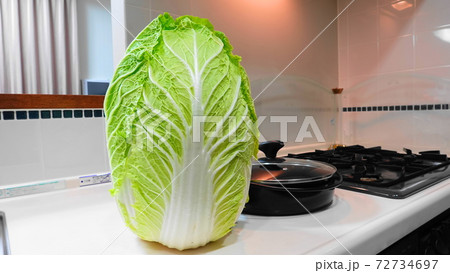 起立した立派な白菜(冬の鍋の主役！)　鍋とコンロ　3751 72734697