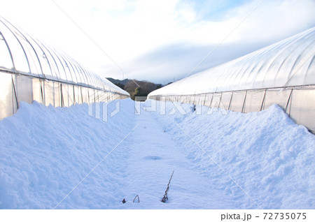 雪景色・ビニールハウス 72735075