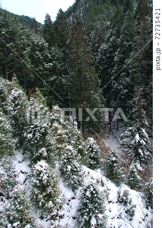雪の高野龍神スカイライン 和歌山県伊都郡高野町付近 雪の高野龍神スカイライン 和歌山県伊都郡高野町付近 72735421