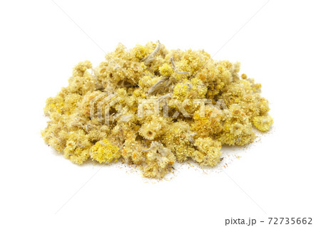 Pile of dried healthy Helichrysum arenarium flowers. Dry immortelle or dwarf everlast heap on white. Alternative medicine. Pile of dried healthy Helichrysum arenarium flowers. Dry immortelle or dwarf everlast heap on white. Alternative medicine. 72735662