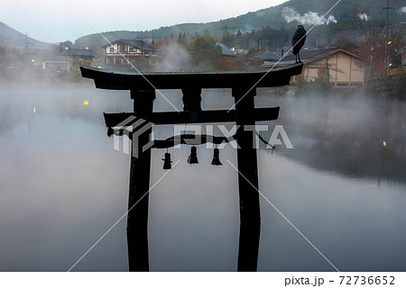 金鱗湖 幻想的な朝の写真素材