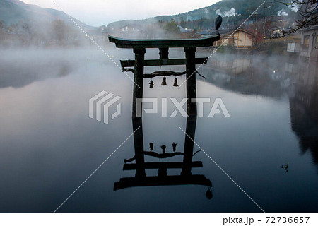 金鱗湖 幻想的な朝の写真素材