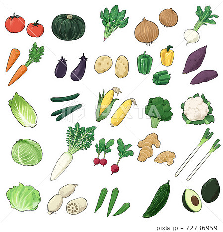 野菜のイラスト セットのイラスト素材 [72736959] - PIXTA