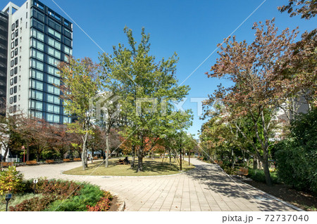 東京都中央区明石町の築地川公園 東京都中央区明石町の築地川公園 72737040
