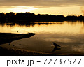 多々良沼とからすと夕焼け 72737527