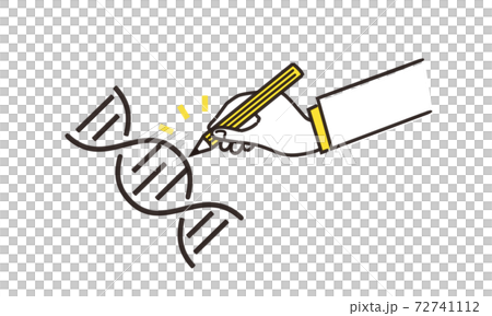 ゲノム編集のイラストイメージ、黄色とグレーの2色、ベクターイラストレーション ゲノム編集のイラストイメージ、黄色とグレーの2色、ベクターイラストレーション 72741112