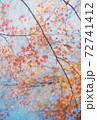 紅葉 72741412