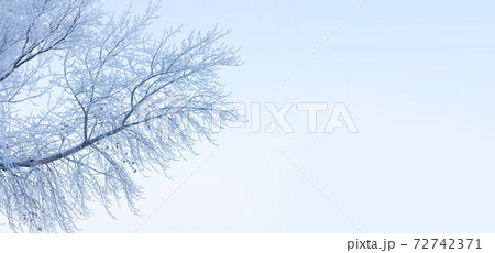 Winter landscape with snowy tree over blue sky Winter landscape with snowy tree over blue sky 72742371