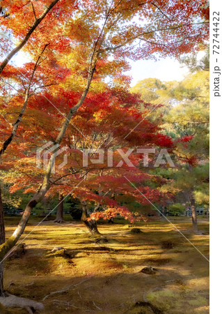 日本の秋景色 72744422