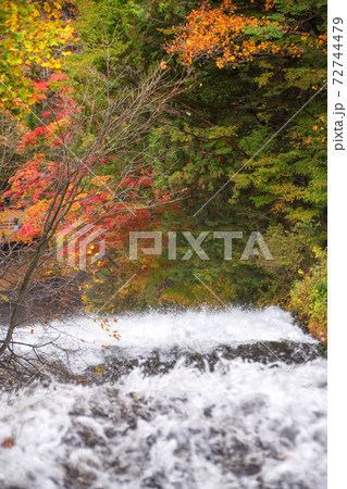 日光　湯川　湯滝滝口　紅葉景色　秋景色　　 72744479