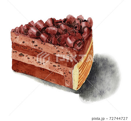 アナログ水彩ケーキガトーショコラのイラスト素材