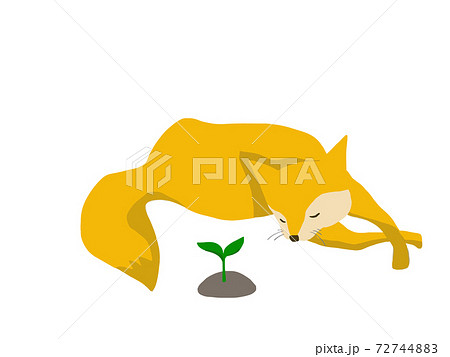 芽が出たばかりの苗木を大切そうにしている狐の手描きイラスト 環境問題やsdgsと関連しても のイラスト素材