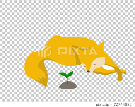 芽が出たばかりの苗木を大切そうにしている狐の手描きイラスト 環境問題やsdgsと関連しても のイラスト素材