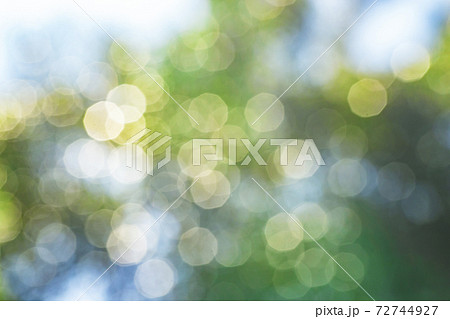 木もれ日 玉ぼけ 木もれ日 玉ぼけ 72744927