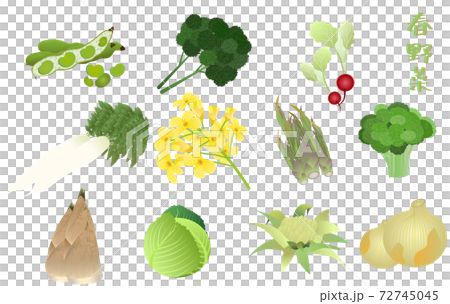 春野菜素材 72745045