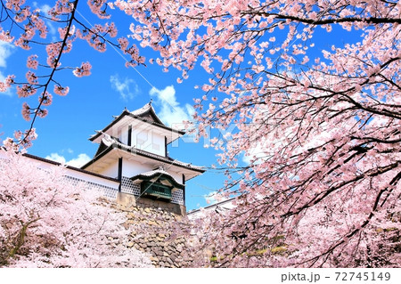 金沢城公園の桜 72745149