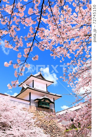 金沢城公園の桜 72745150
