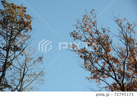 月と神の宿る山 甘南備山 月と神の宿る山 甘南備山 72745173