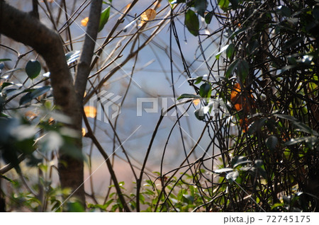神の宿る山の秋　甘南備山 72745175