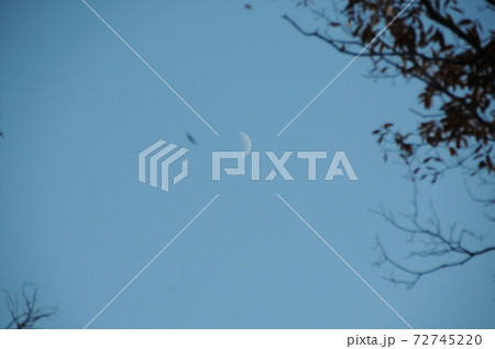 神の宿る山に見える月　甘南備山 72745220