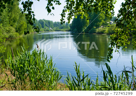summer pond summer pond 72745299