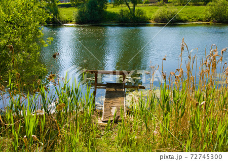 summer pond with a footbridge summer pond with a footbridge 72745300