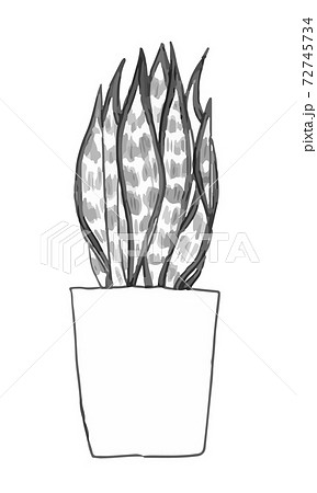 観葉植物 サンセベリア モノクロ 1のイラスト素材