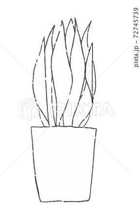 観葉植物 サンセベリア モノクロ 2のイラスト素材