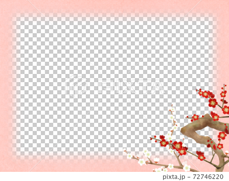 Red and white plum frame-there are multiple variations 72746220