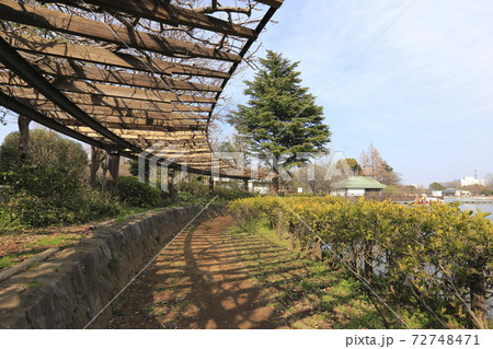 千葉県立柏の葉公園(かしわのはこうえん) 千葉県柏市 千葉県立柏の葉公園(かしわのはこうえん) 千葉県柏市 72748471