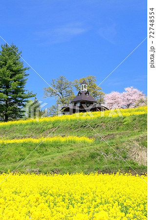 飯山 菜の花公園の写真素材