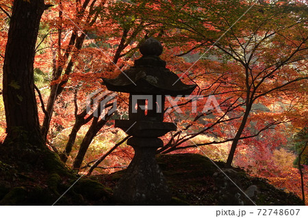 五十鈴神社の常夜燈 72748607
