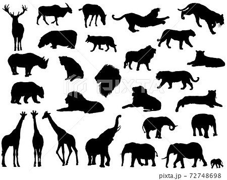 Animals (3159-514254A), Stock Photo 3159-514254A : Superstock