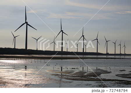 wind farm at gaomei wetlands, refuge, taiwan wind farm at gaomei wetlands, refuge, taiwan 72748794