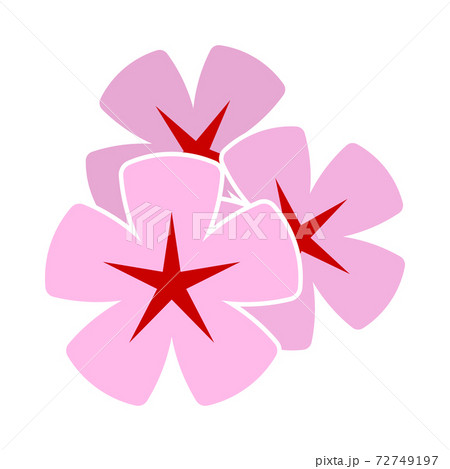 Frangipani Flower Icon 72749197