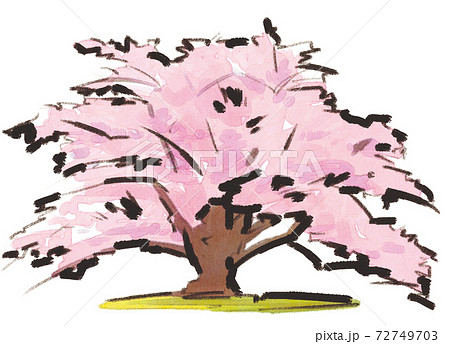 桜の木のイラスト素材