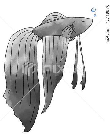 寝ているオスベタ 黒色 のイラスト素材 72749976 Pixta