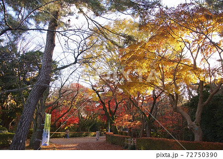 高岡古城公園の紅葉 富山県 の写真素材