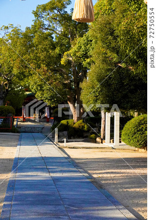 権現宮證誠神社 権現宮證誠神社 72750554
