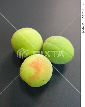 ウメ　梅　うめ 72750687