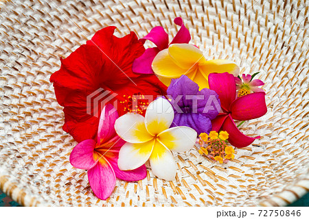 ナチュラルなカゴの中の南国の花たち 72750846