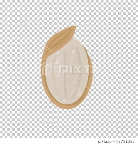 Brown rice Brown rice 72751355